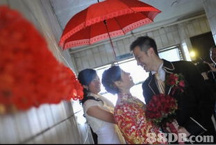 星映传情 用光影定格户外婚纱与婚礼的永恒瞬间